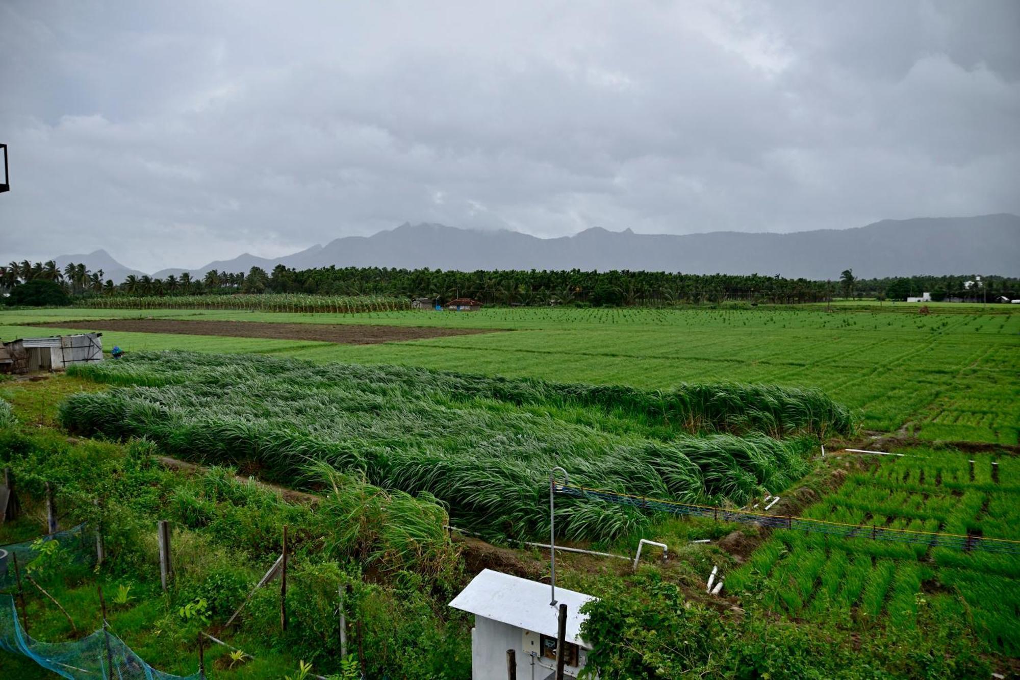 Apartamento Lakshmi Illam Near Isha Yoga Adiyogi Alāndurai Exterior foto